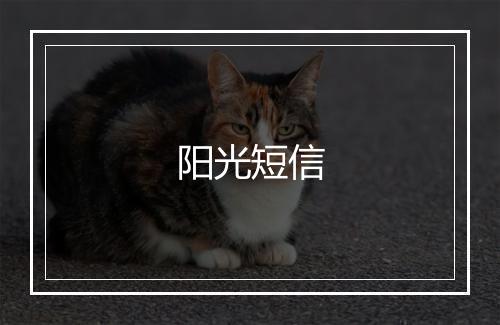 阳光短信