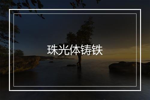 珠光体铸铁