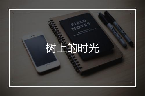 树上的时光