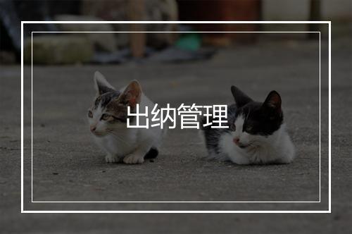 出纳管理