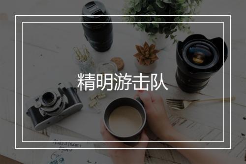 精明游击队