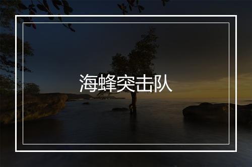 海蜂突击队