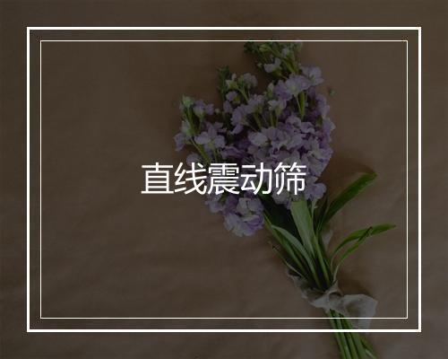 直线震动筛