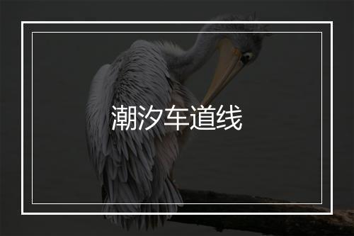 潮汐车道线