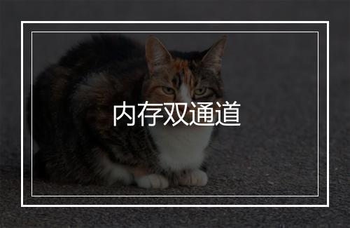 内存双通道