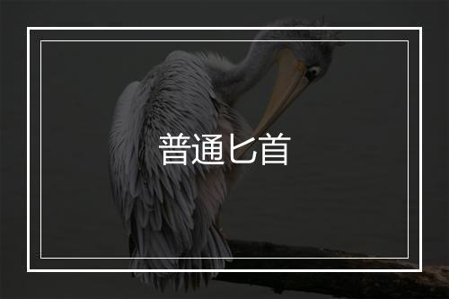 普通匕首