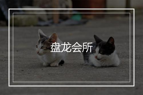 盘龙会所