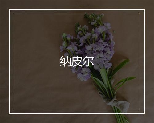 纳皮尔