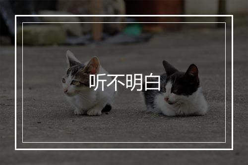 听不明白