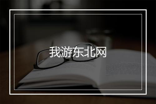 我游东北网