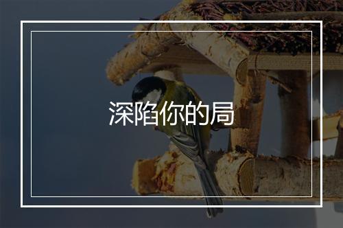 深陷你的局