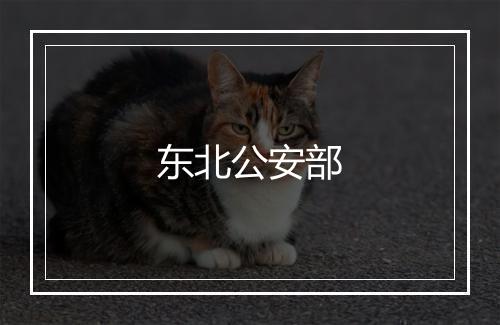 东北公安部