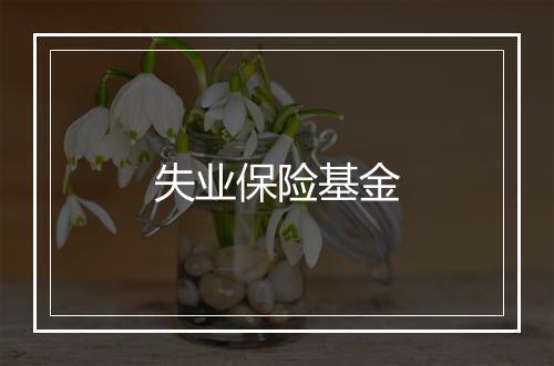 失业保险基金