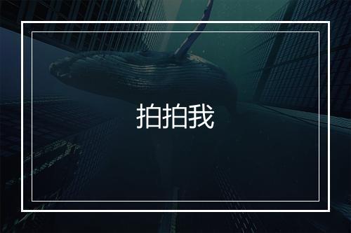 拍拍我