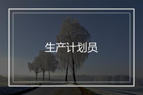 生产计划员