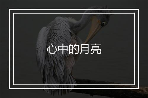 心中的月亮