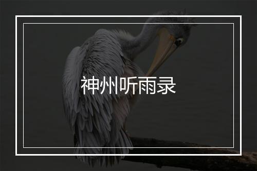 神州听雨录