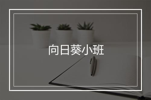 向日葵小班