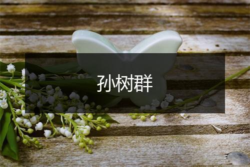 孙树群