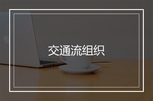 交通流组织