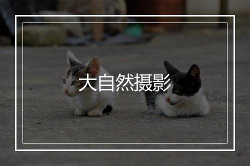 大自然摄影