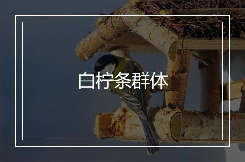 白柠条群体