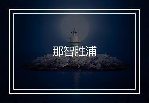 那智胜浦