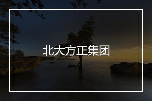 北大方正集团