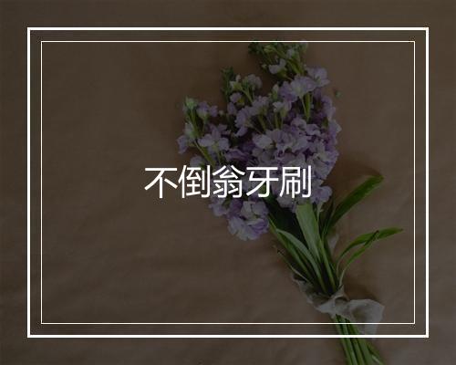 不倒翁牙刷