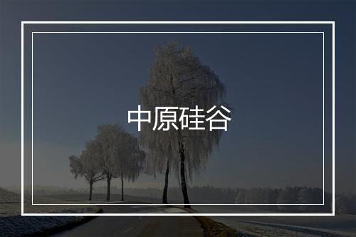 中原硅谷