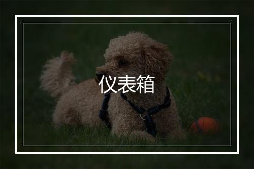 仪表箱