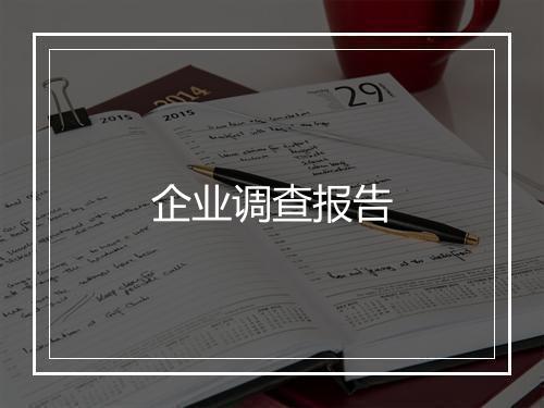 企业调查报告