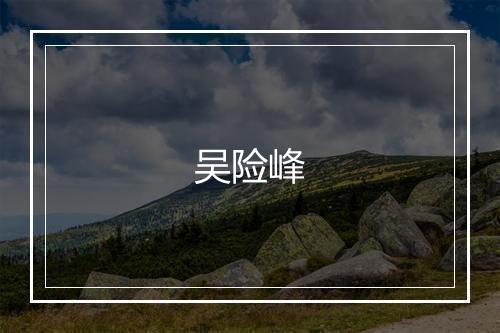 吴险峰