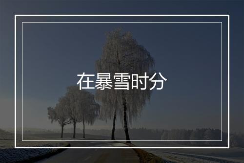 在暴雪时分