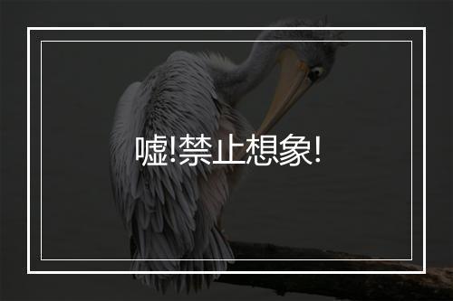 嘘!禁止想象!