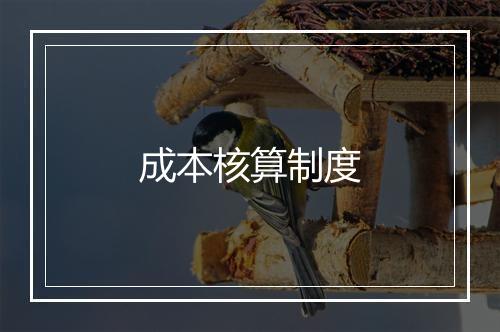 成本核算制度