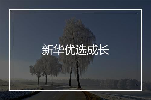 新华优选成长