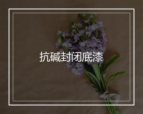 抗碱封闭底漆