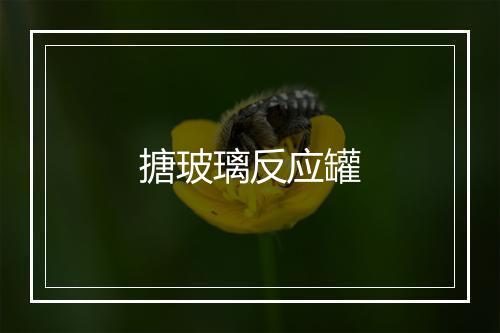 搪玻璃反应罐