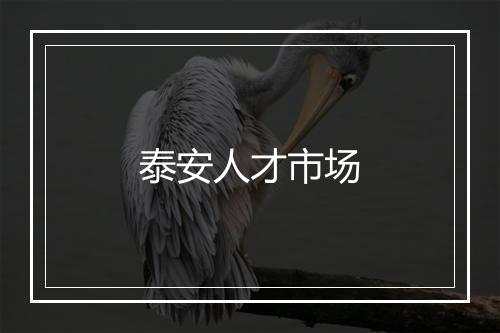 泰安人才市场