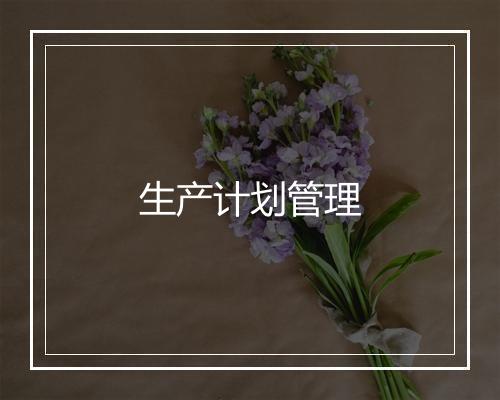 生产计划管理