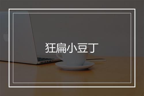 狂扁小豆丁