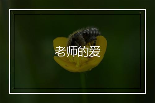 老师的爱