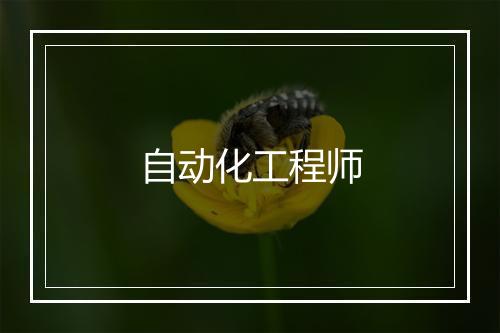 自动化工程师