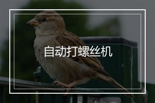 自动打螺丝机