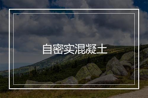 自密实混凝土