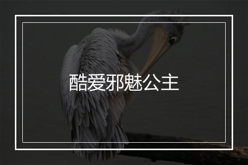 酷爱邪魅公主