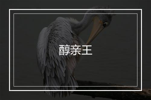 醇亲王