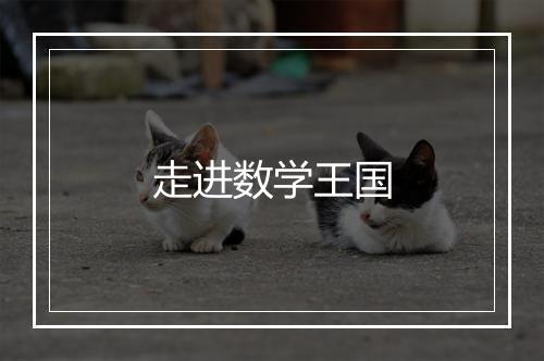 走进数学王国