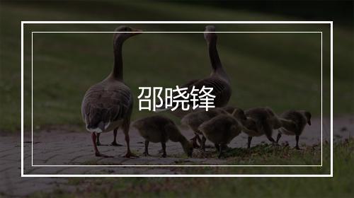 邵晓锋